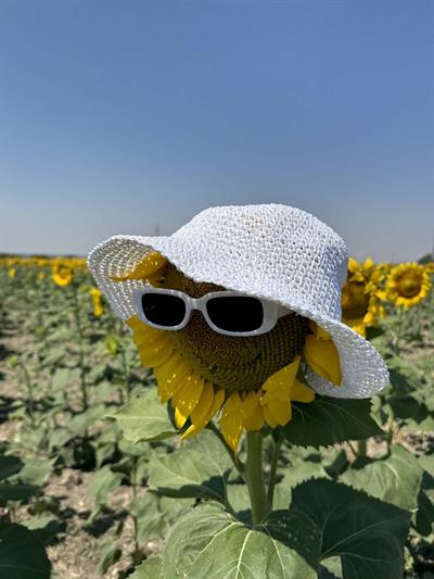 Scarecrow Beyaz Hasır Şapka