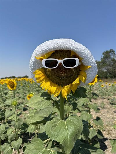 Scarecrow Beyaz Hasır Şapka