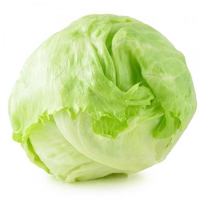 Aysberg Marul (Adet)