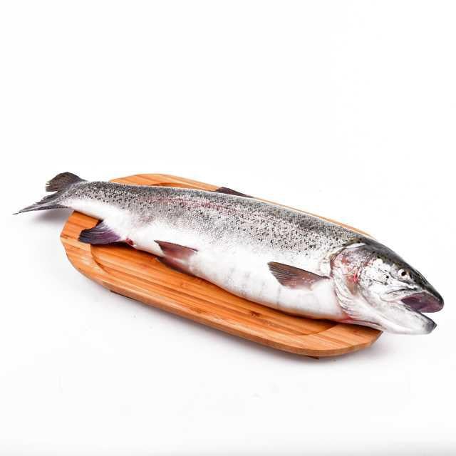 Balık - Türk Somonu (Kg)