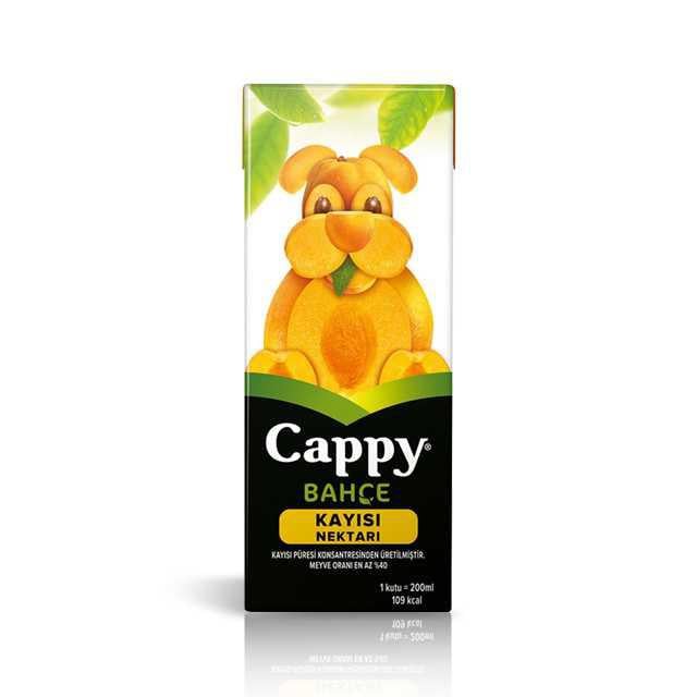 Cappy Kayısı Meyve Suyu 200 Ml.