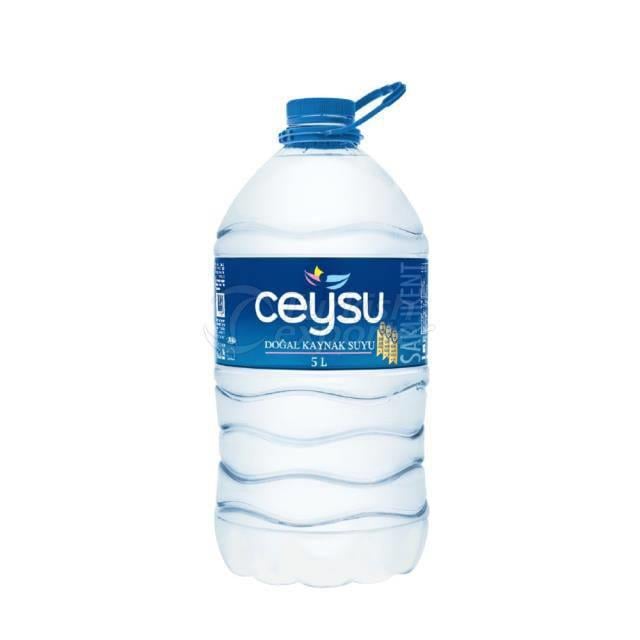 Ceysu 5 lt Su