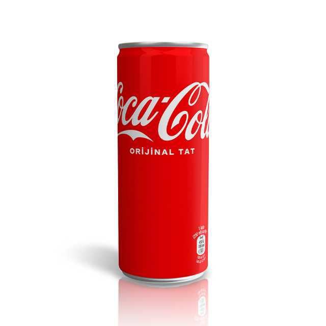 Coca Cola 250 Ml. Kutu