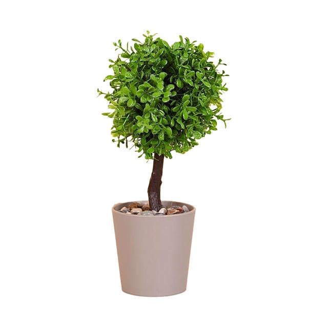 Eva 5815 Top Yonca Çiçeği