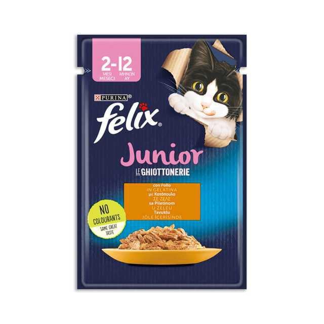 FELIX YAVRU TAVUKLU 85 gr POUCH