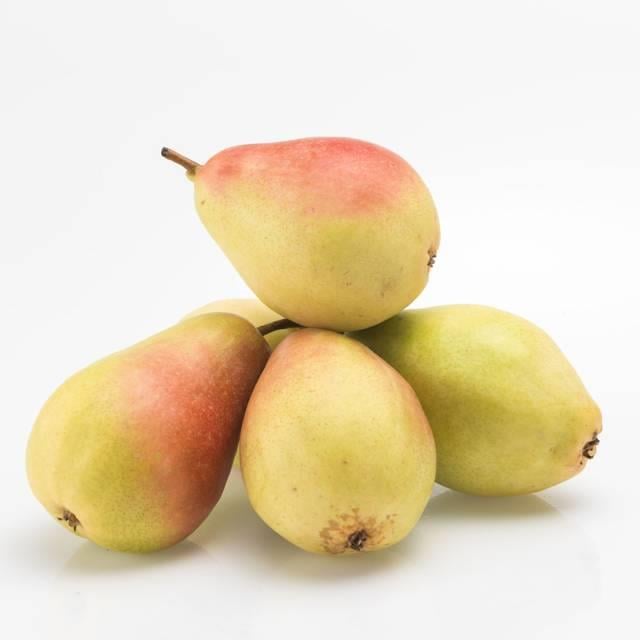 Santamaria Armut (Kg)