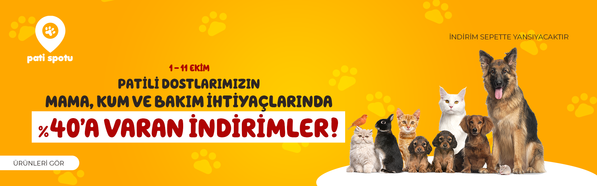 Patili Dostlarımız 