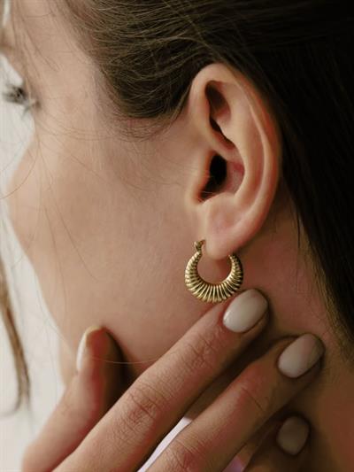  Altın 14 Ayar  Midye Model Orta Halka Küpe14 Ayar Midye Model Orta Büyüklükte Altın Halka Küpe