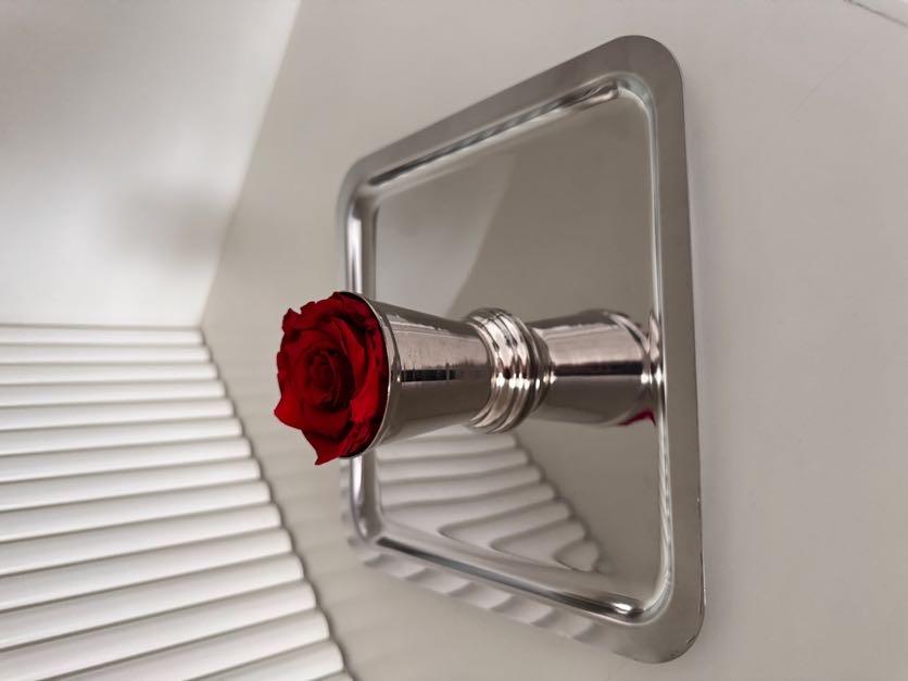 Çelik Tepsi , Çelik Gül Kovası , Solmayan Gül Kırmızı