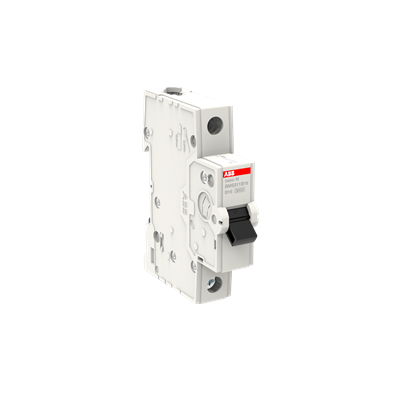 2CDS631031R0405 Basic M 1X40A 3KA B Otomat