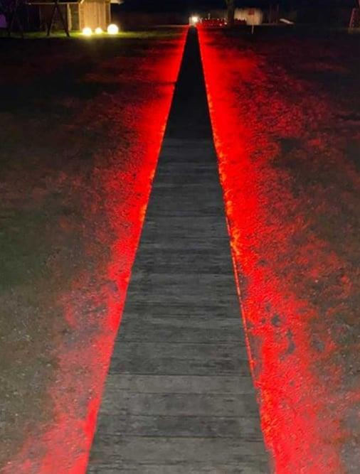 CT 4552 3 ÇİP DIŞ MEKAN YEŞİL HORTUM LED