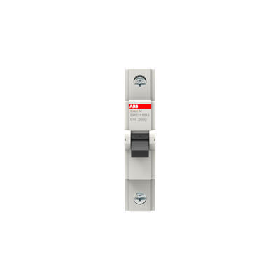 2CDS631031R0255 Basic M 1X25A 3KA B Otomat
