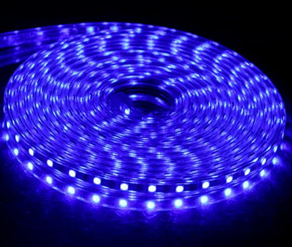 CT 4551 3 ÇİP DIŞ MEKAN MAVİ HORTUM LED