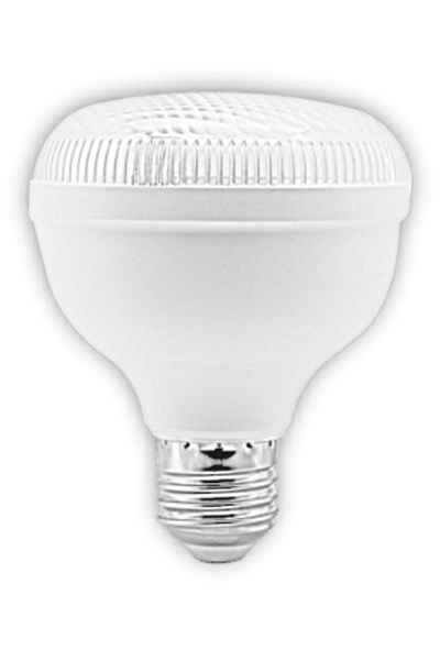 CT 4125 25W 6400K KRİSTAL TORCH LED AMPÜL E27