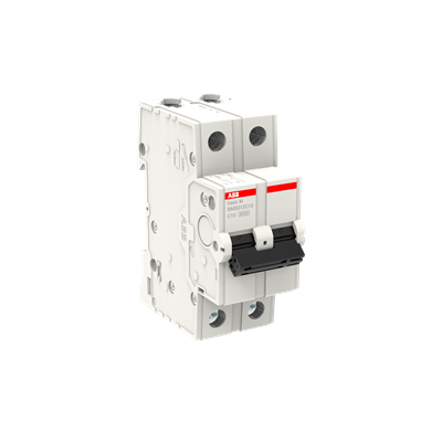2CDS632031R0634 Basic M 2X63A 3KA C Otomat