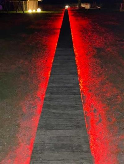 CT 4552 3 ÇİP DIŞ MEKAN YEŞİL HORTUM LED