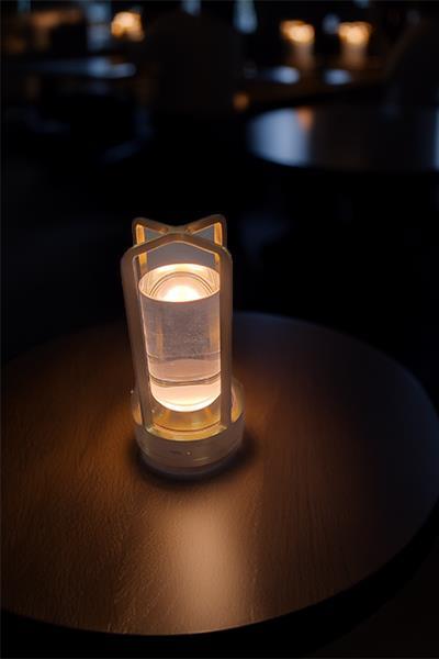 CT 8439 VEGAS SARJLI MASA LAMBASI 