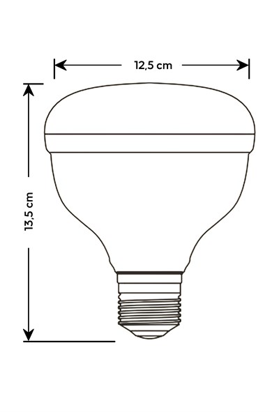 CT 4155 55W 6400K KRİSTAL TORCH LED AMPÜL E27