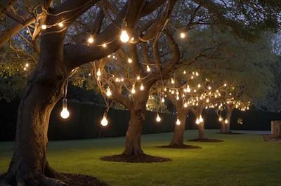 CT-7069 SARMAŞIK DIŞ MEKAN DUY 5Mt / 5Duy EKLENEBİLİR E27