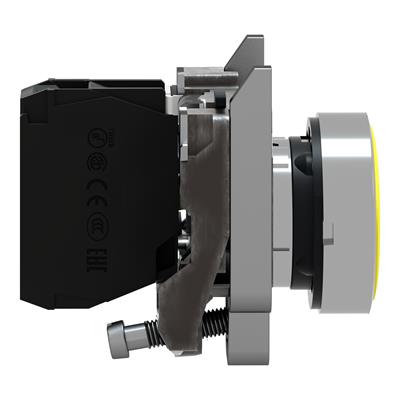 XB4-BA51 1NA SARI PUSH BUTTON