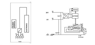 WAGO 750-346   Fieldbus Kuplörü DeviceNet ECO