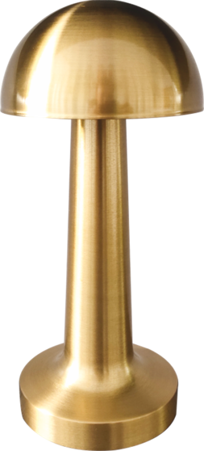 CT 8429 LİZBON ANTİK ŞARJLI MASA LAMBASI