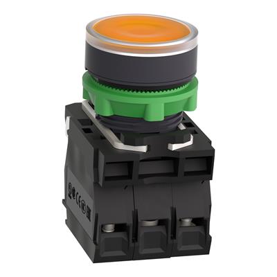 XB5-AW35B5 AYDINLATMALI BASMALI DÜĞME