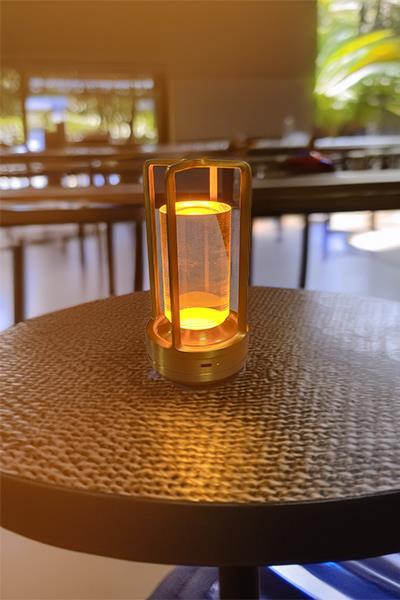 CT 8439 VEGAS SARJLI MASA LAMBASI 