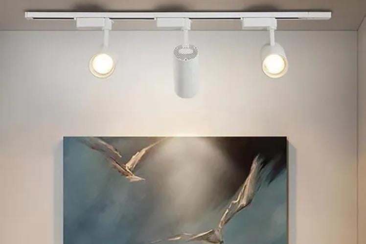 CT-5333 30W 3200K BABİL BEYAZ KASA RAY SPOT