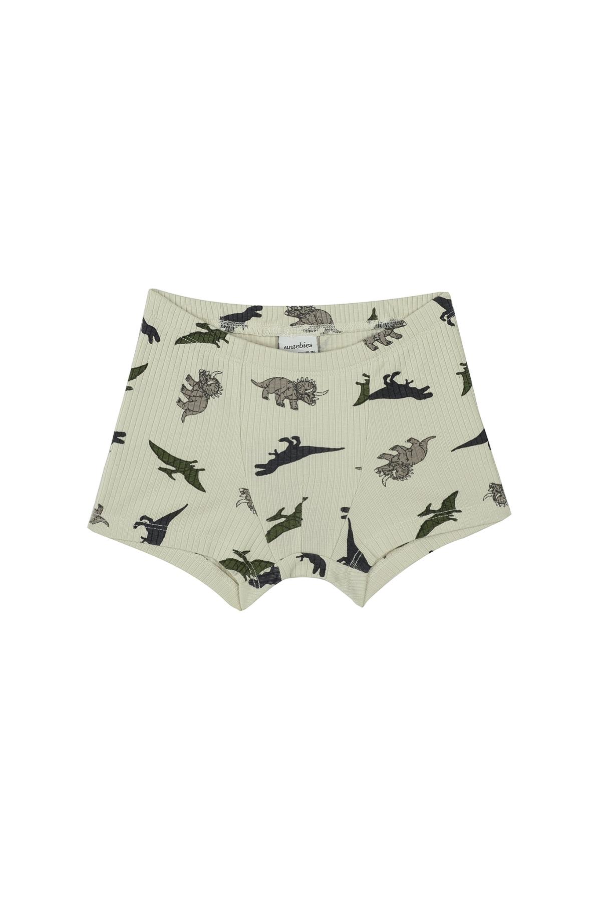 Antebies / Dinazorların Macerası Boxer Üçlü Set Bej