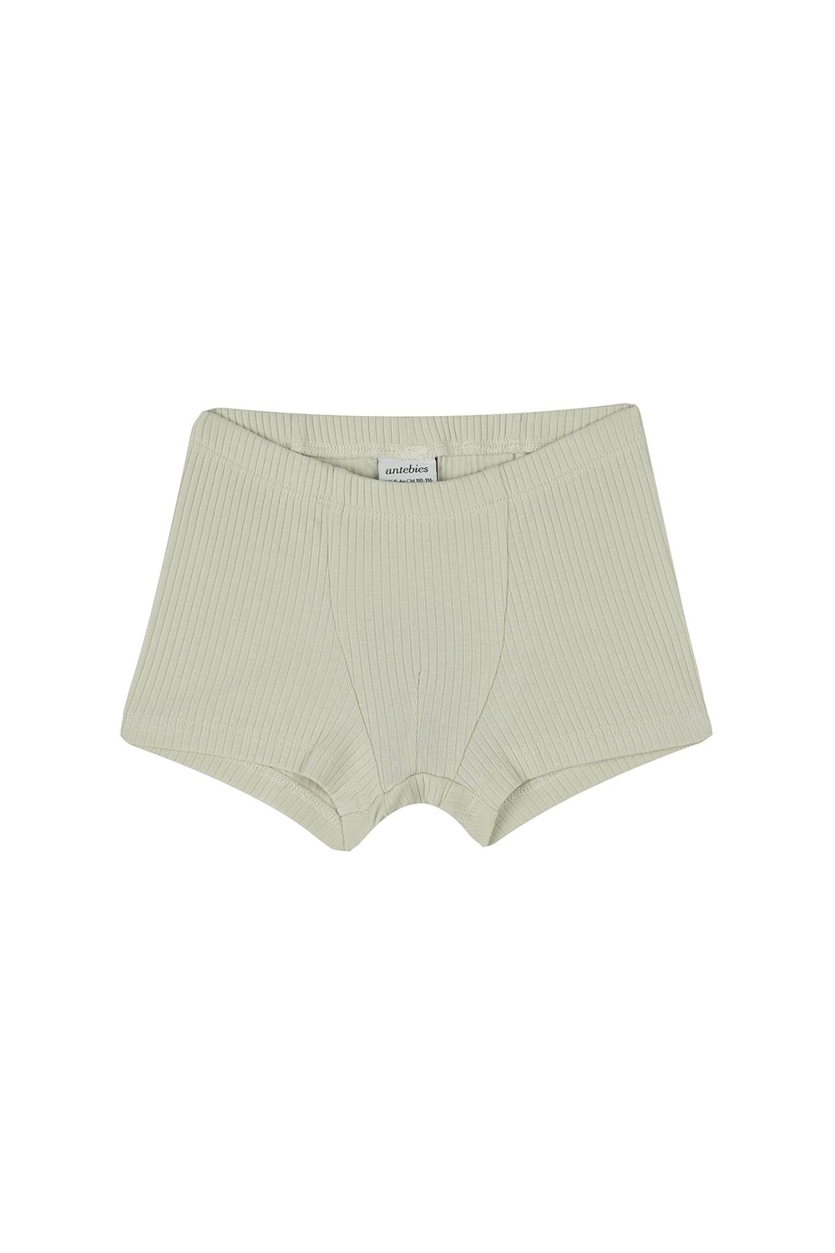 Antebies / Dinazorların Macerası Boxer Üçlü Set Bej