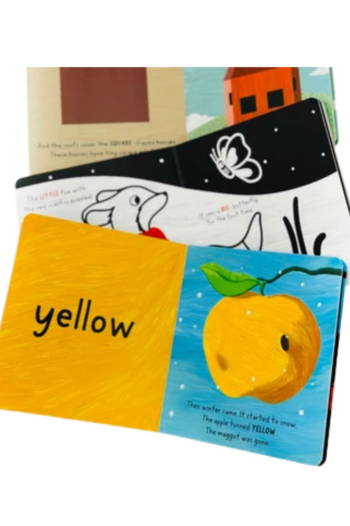 BABY UNİVERSİTY FİRST CONCEPTS STORİES (4 BOOK) Çok Renkli