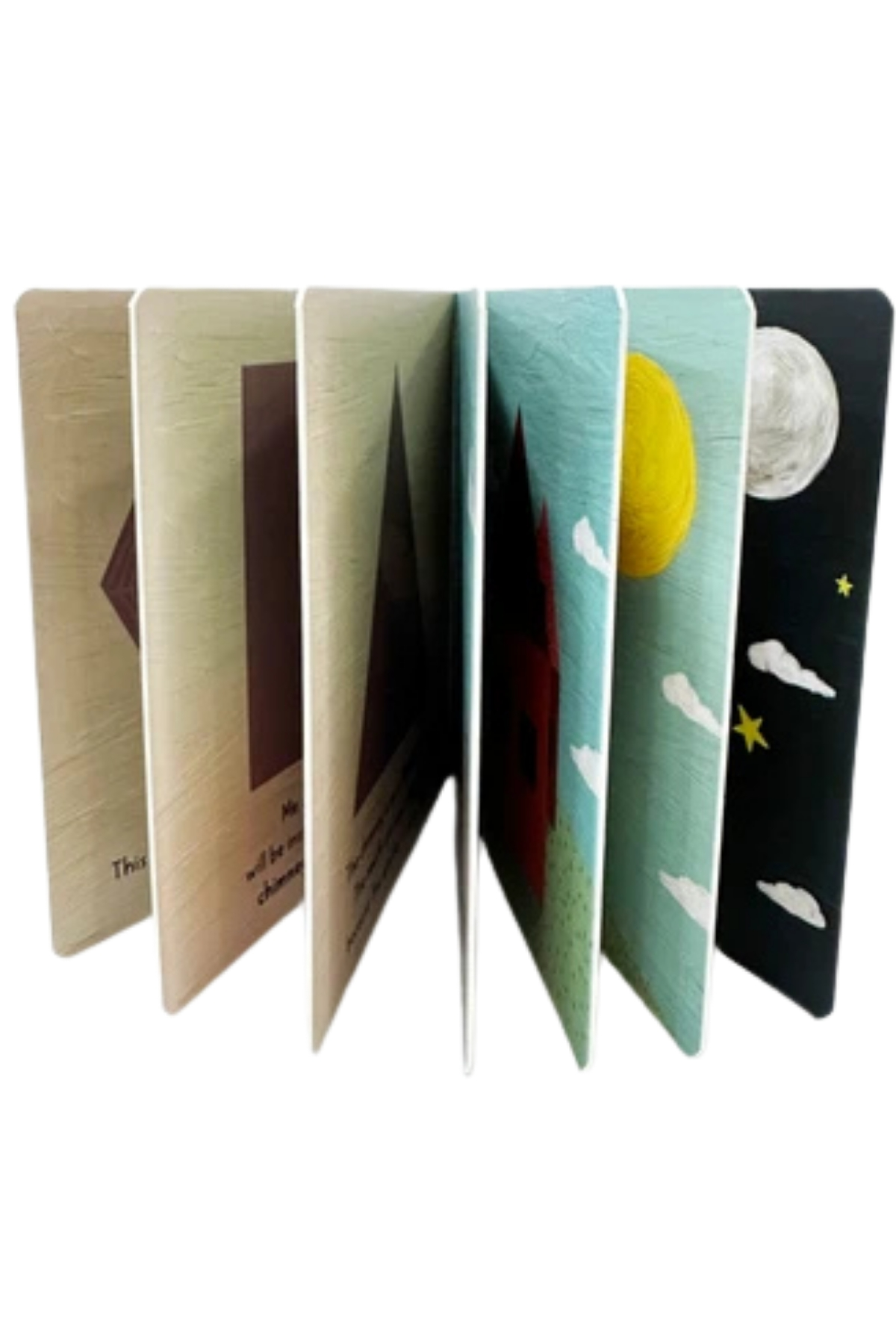 BABY UNİVERSİTY FİRST CONCEPTS STORİES (4 BOOK) Çok Renkli
