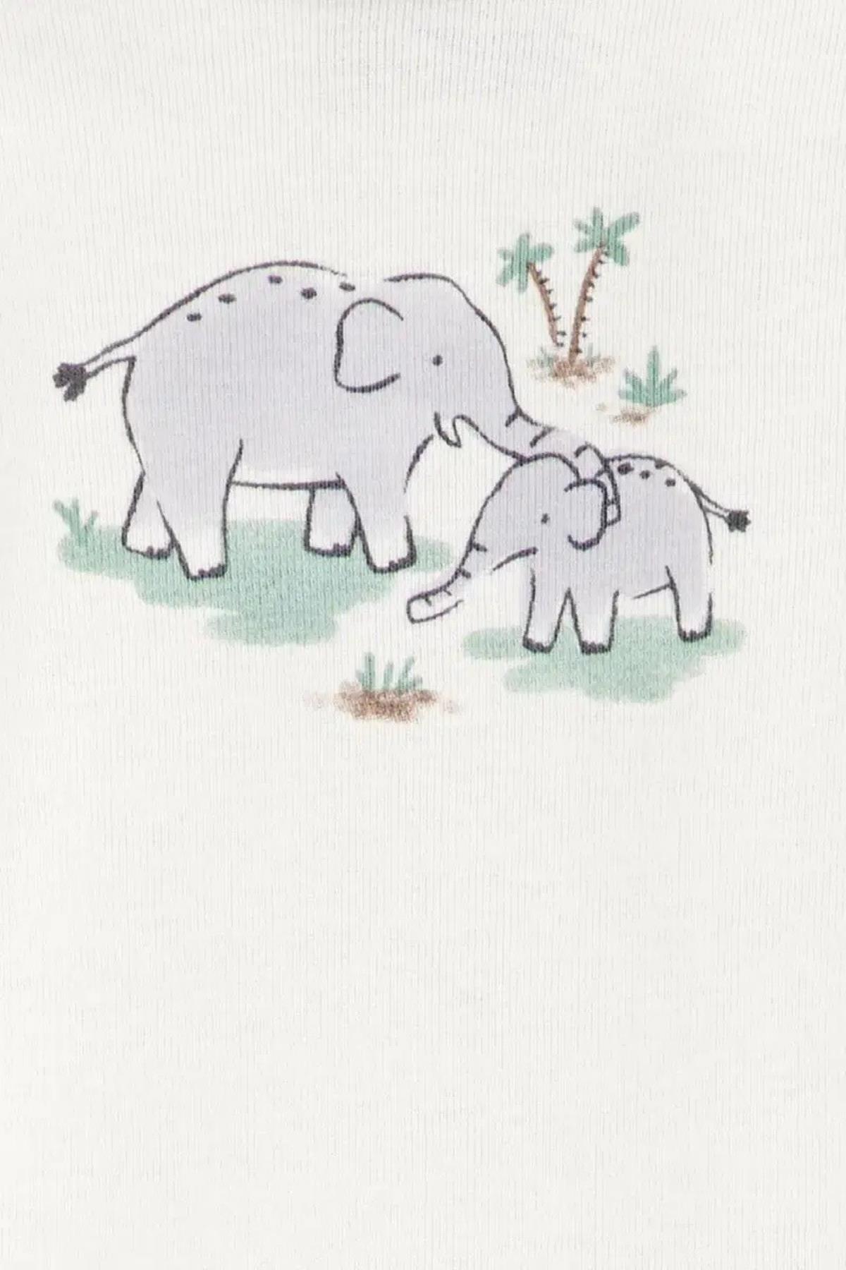 CARTERS / Layette Erkek Bebek Tulumlu Set Yeşil