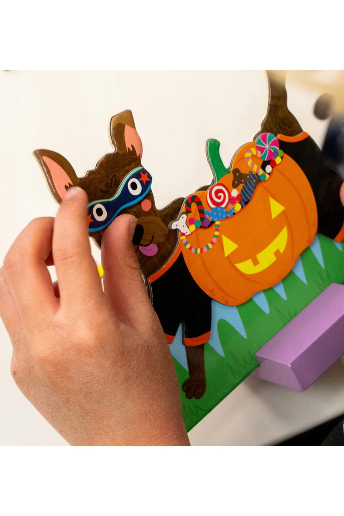 FLOSS & ROCK Mıknatıslı Giydirme Setleri / Pets Çok Renkli