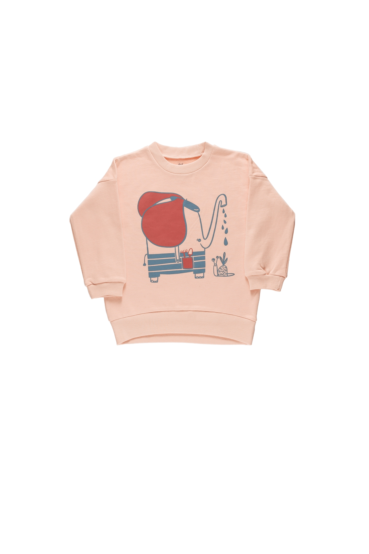 Littleyucca / Grow Sweatshirt SOMON