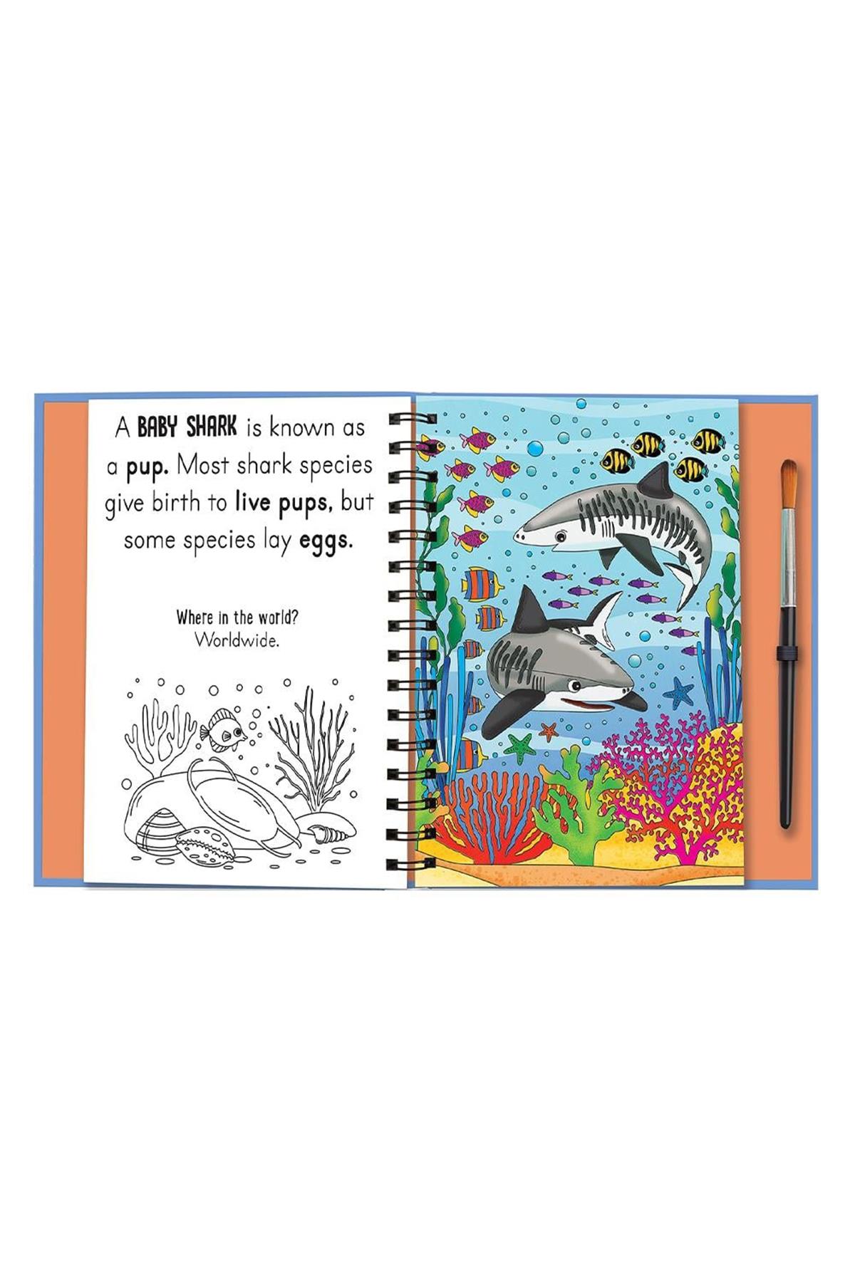 Imagine That / Magic Water Colouring - Baby Animals Çok Renkli