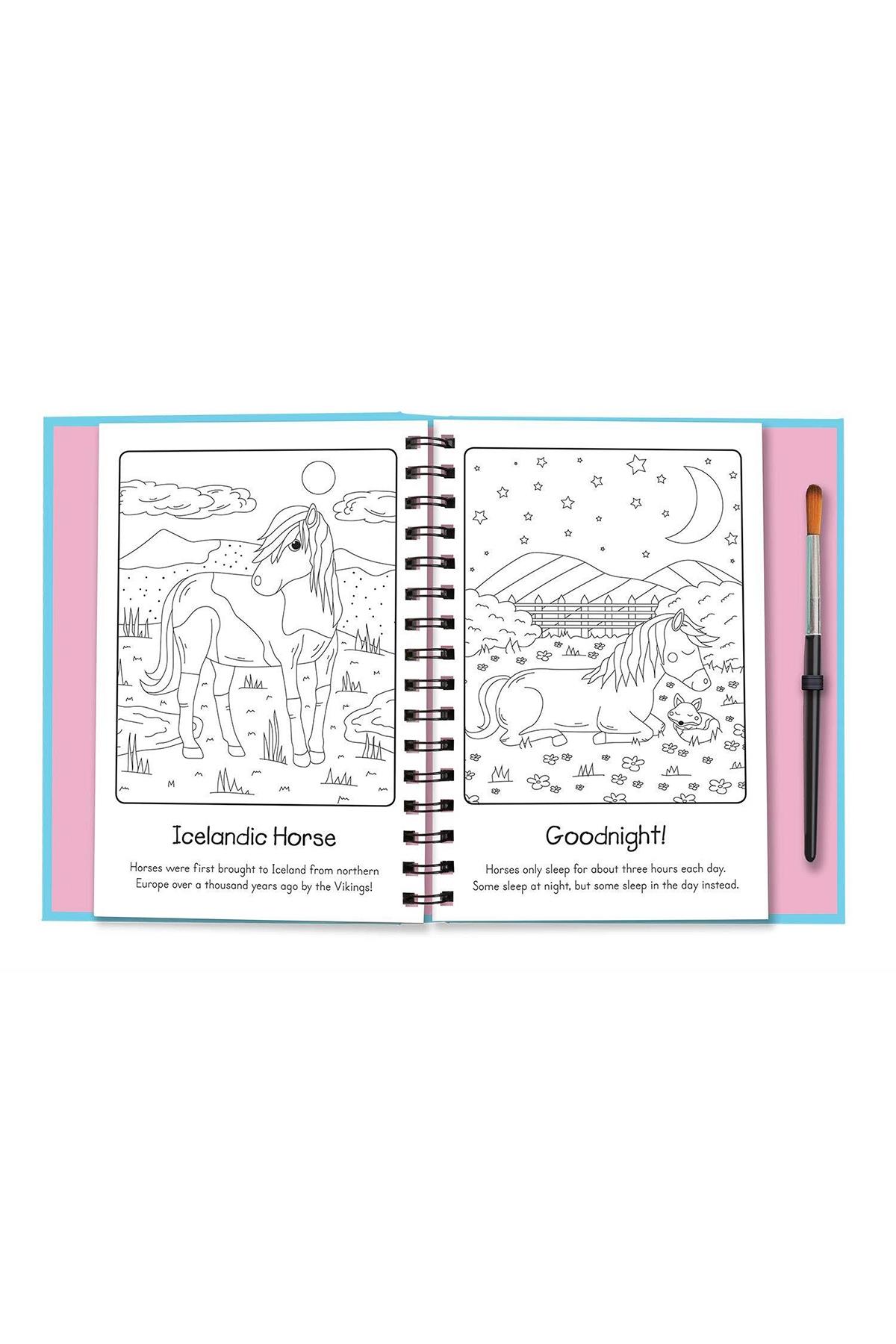 Imagine That / Magic Water Colouring - Horses And Unicorns Çok Renkli