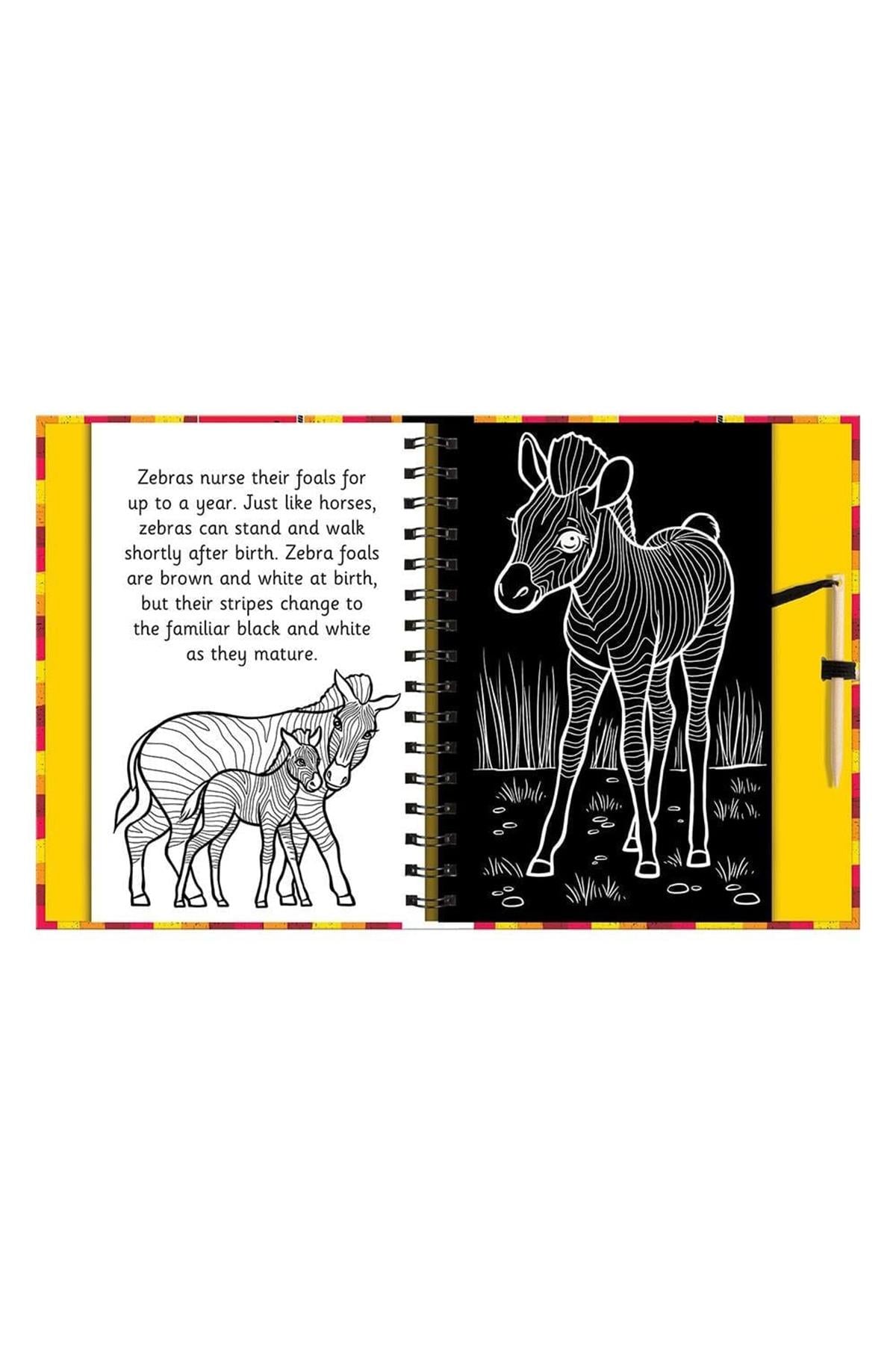 Imagine That /Scratch And Draw - Animals Çok Renkli