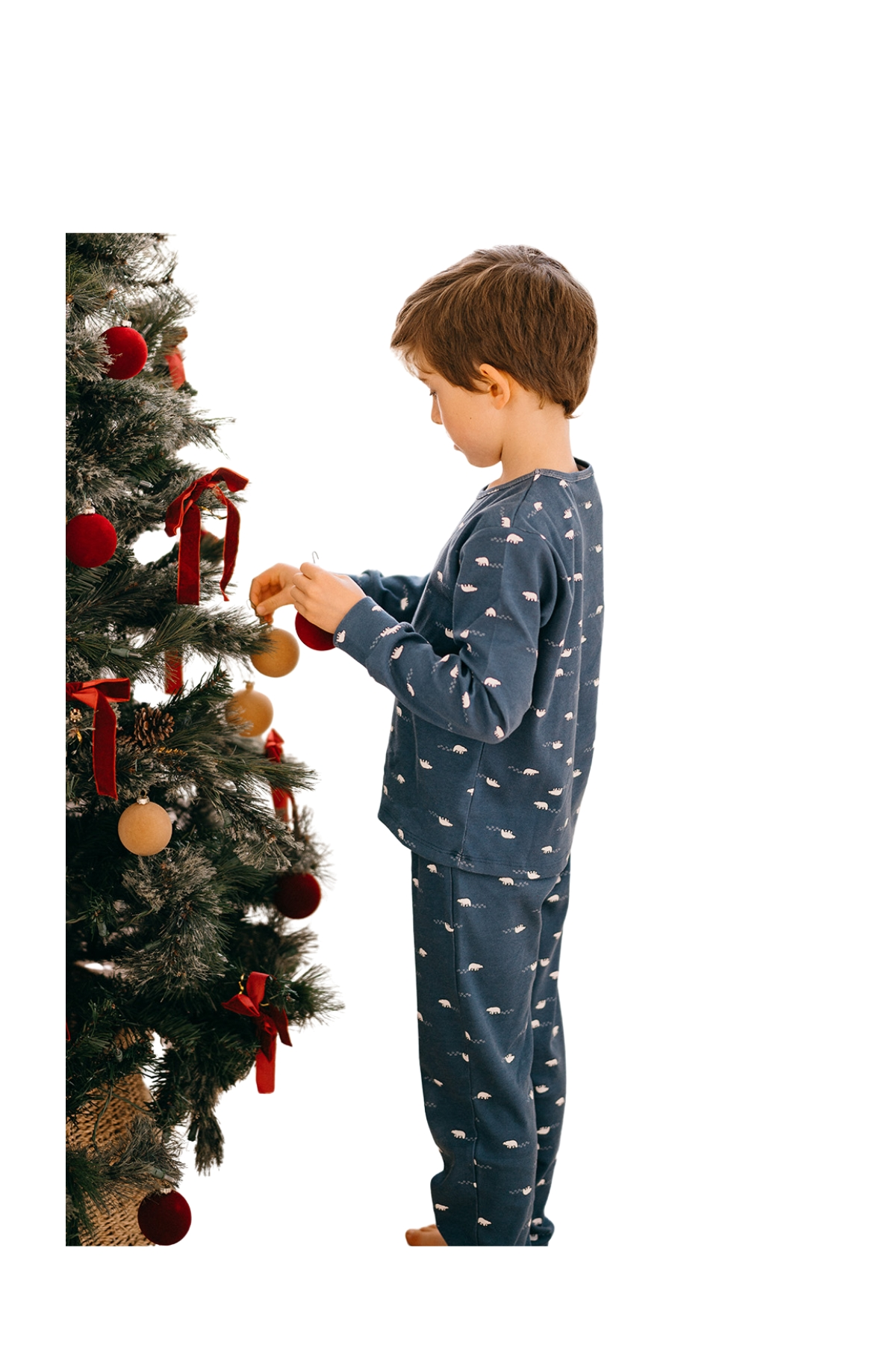 Antebies / Kutup Ayısı Uzun Kollu Pijama Takımı Lacivert