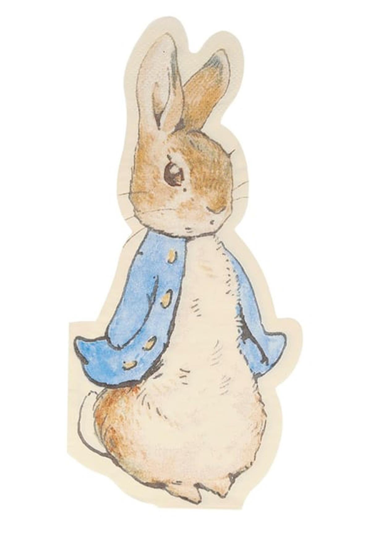 Meri Meri - Peter Rabbit Napkins - Peter Rabbit Peçete - 20li Çok Renkli