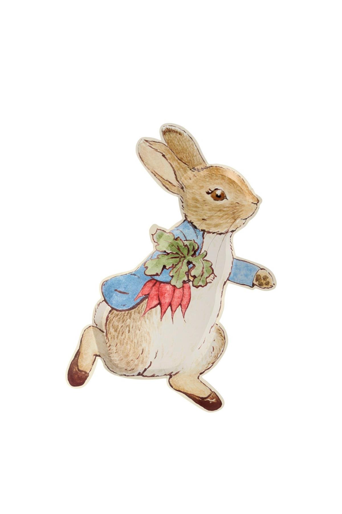 Meri Meri - Peter Rabbit Plates - Peter Rabbit Tabak - 12li Çok Renkli