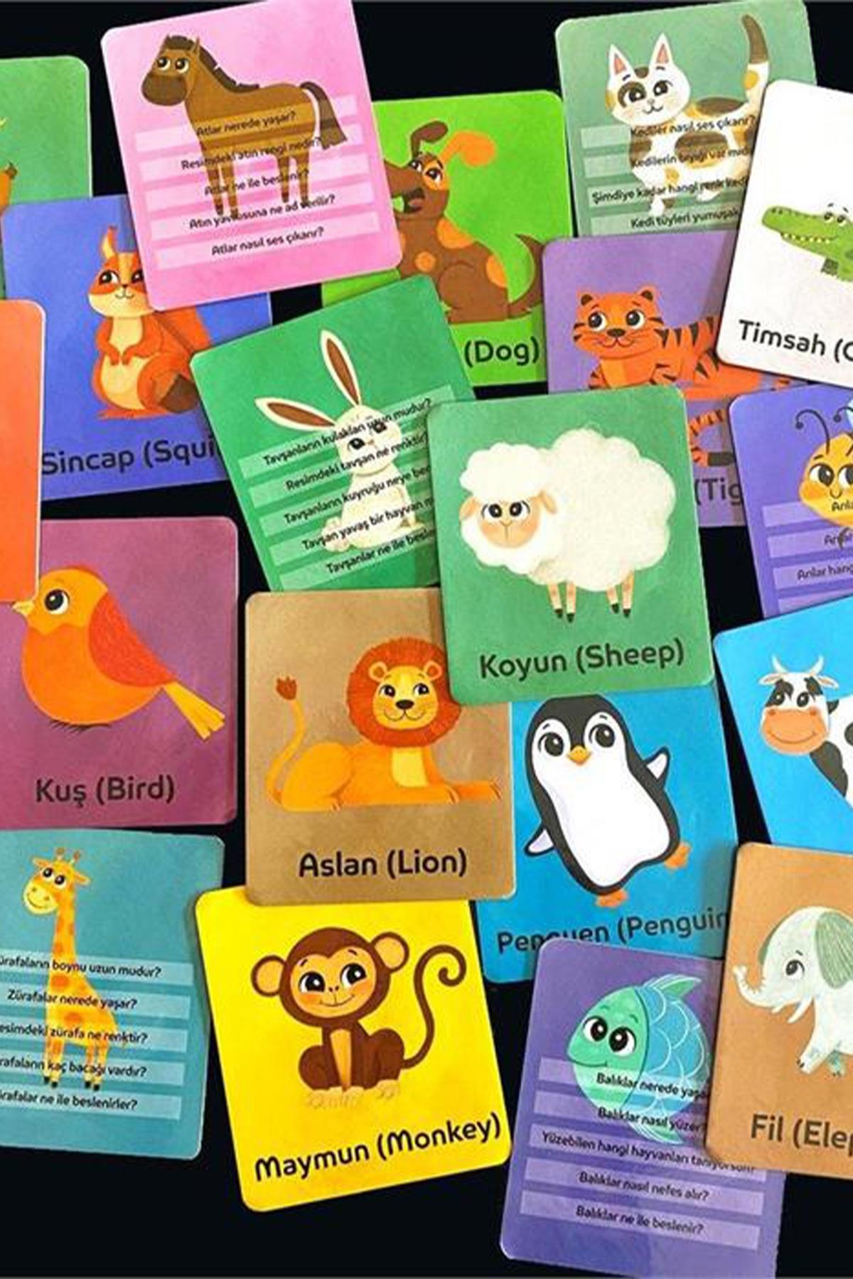 Neo Bebek / Hayvanlar Zeka Kartları Çok Renkli