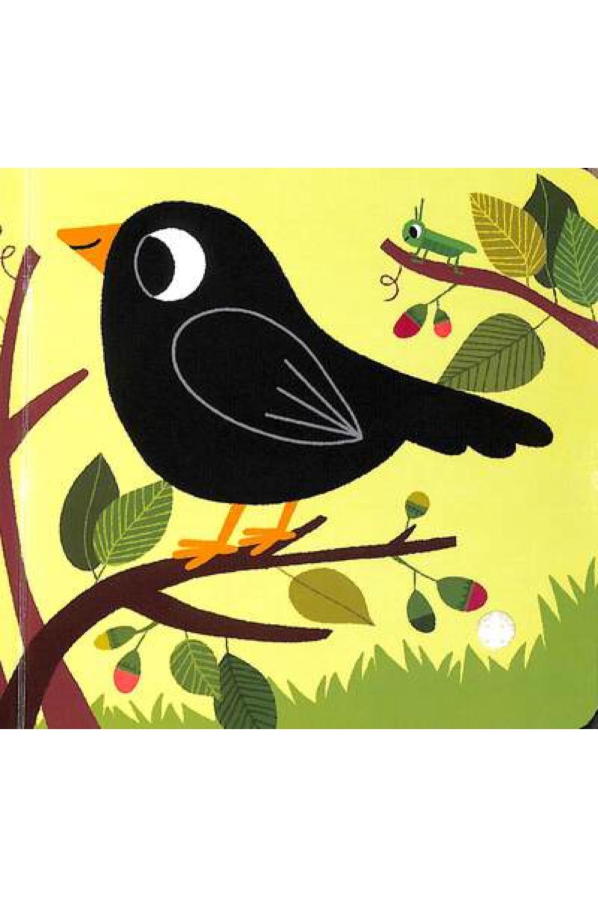 Nosy Crow / Listen To The Birds Çok Renkli