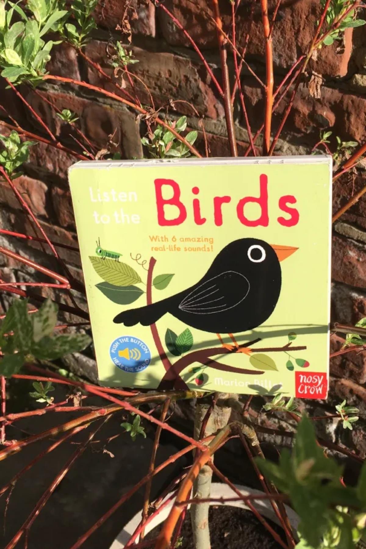 Nosy Crow / Listen To The Birds Çok Renkli