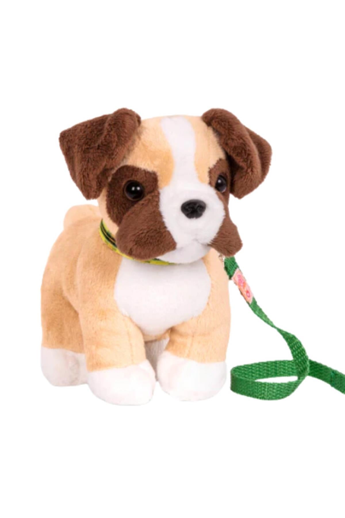 Our Generation Yavru Köpek Çok Renkli