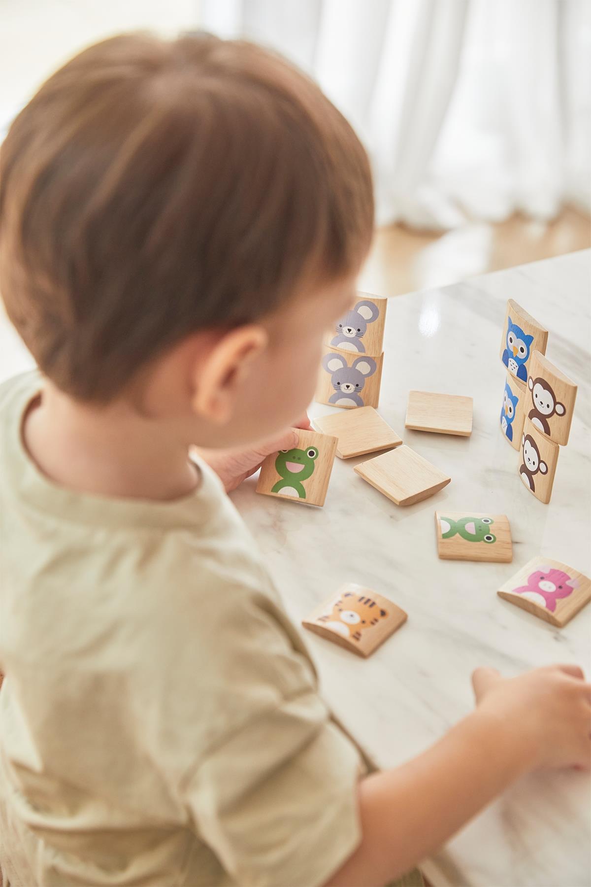 Plantoys / Hayvan Eşleştirme Oyunu Std