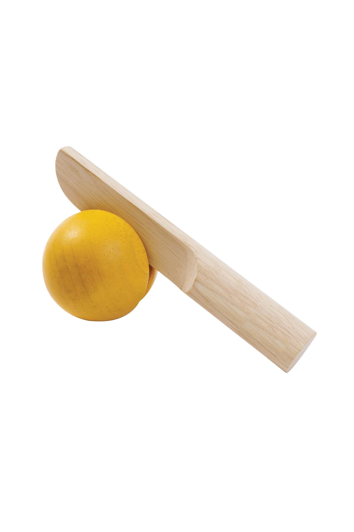 Plantoys / Meyve Sebze Oyun Seti Std