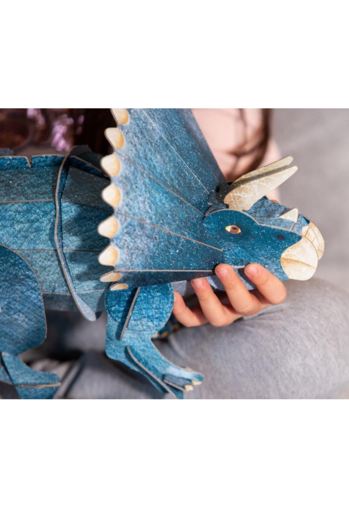 Sassi /3D TRICERATOPS - BOOK AND 3D MODEL Çok Renkli