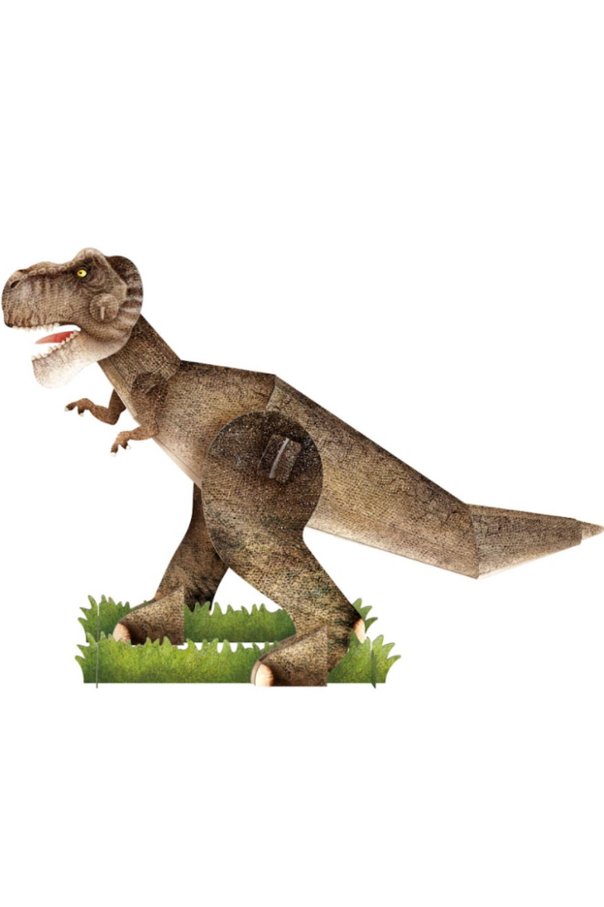 Sassi /3D TYRANNOSAURUS - BOOK AND 3D MODEL Çok Renkli